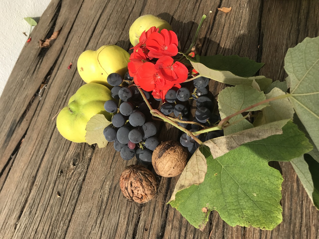 still life fruits harvest free photo