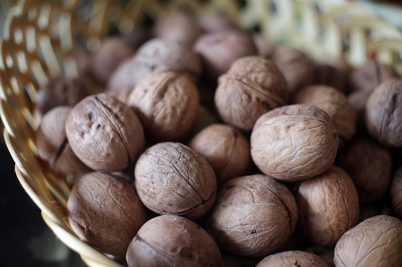 still life nut walnuts free photo