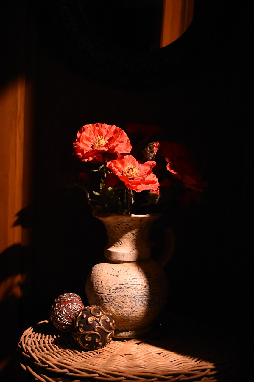 still life  flowers  shadows free photo