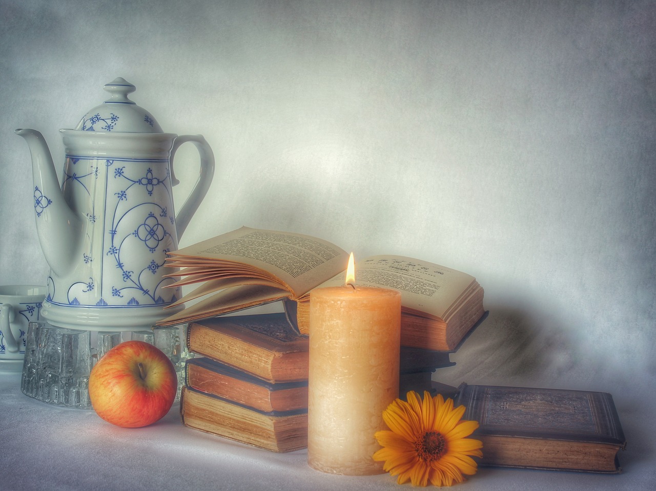 still life  book  read free photo