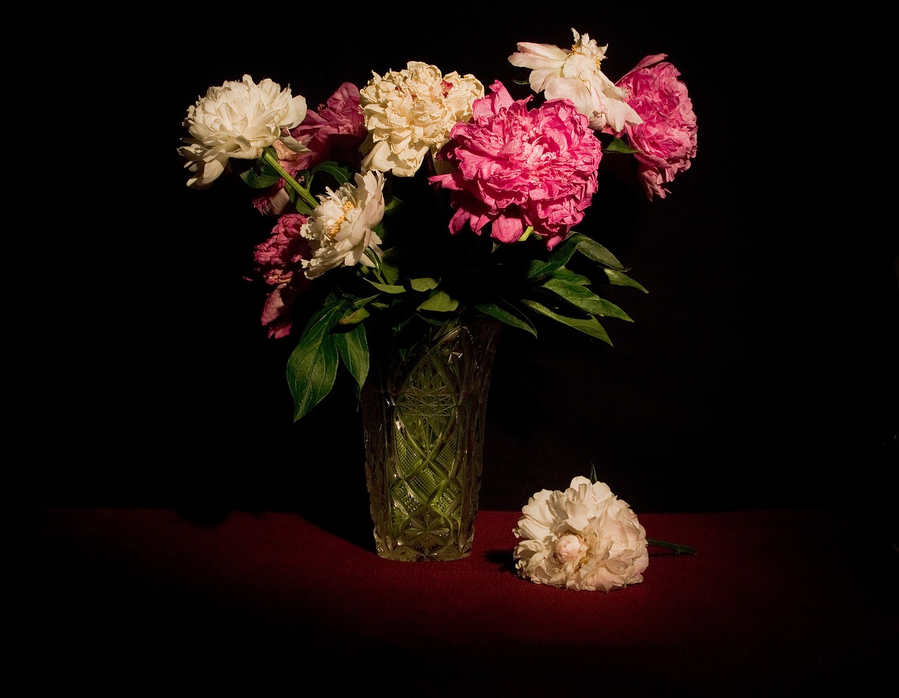 still life  flowers  peonies free photo