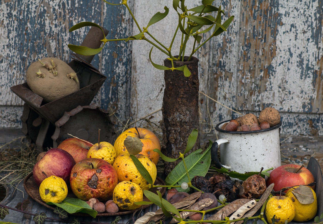 still life apple colorful free photo