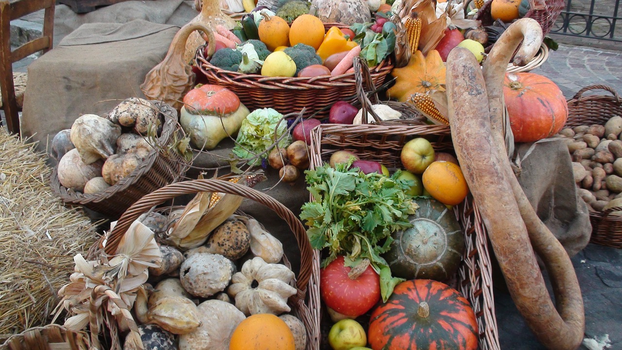 still life fruit seeds free photo