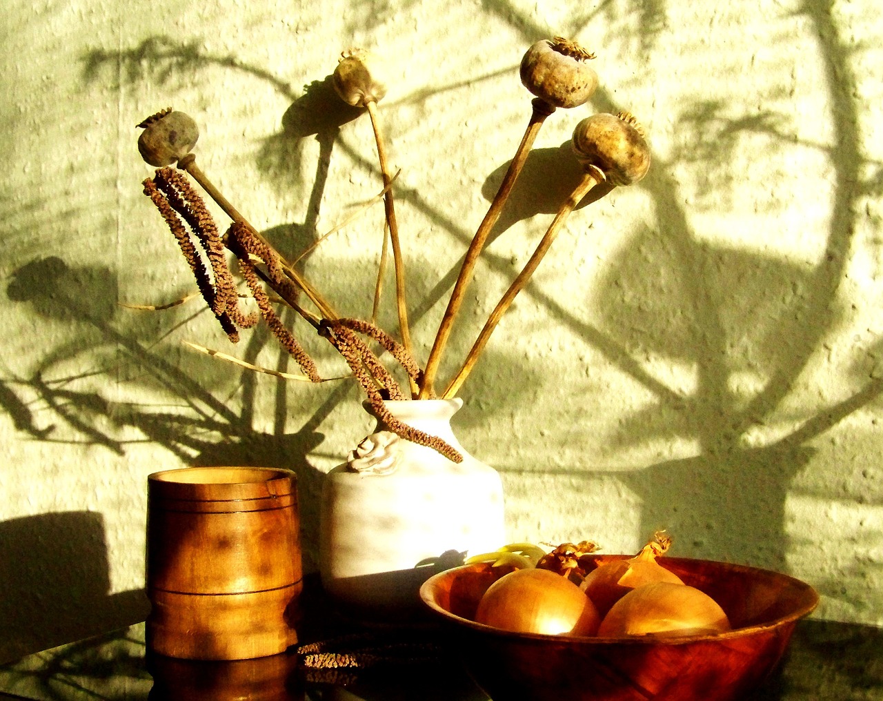 still life stray sunlight light and shadow play free photo