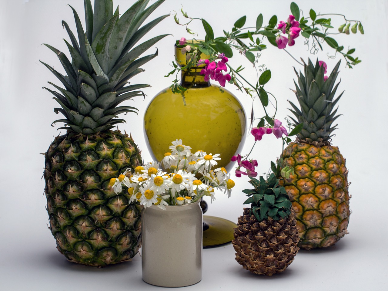 still life fruit pineapple free photo