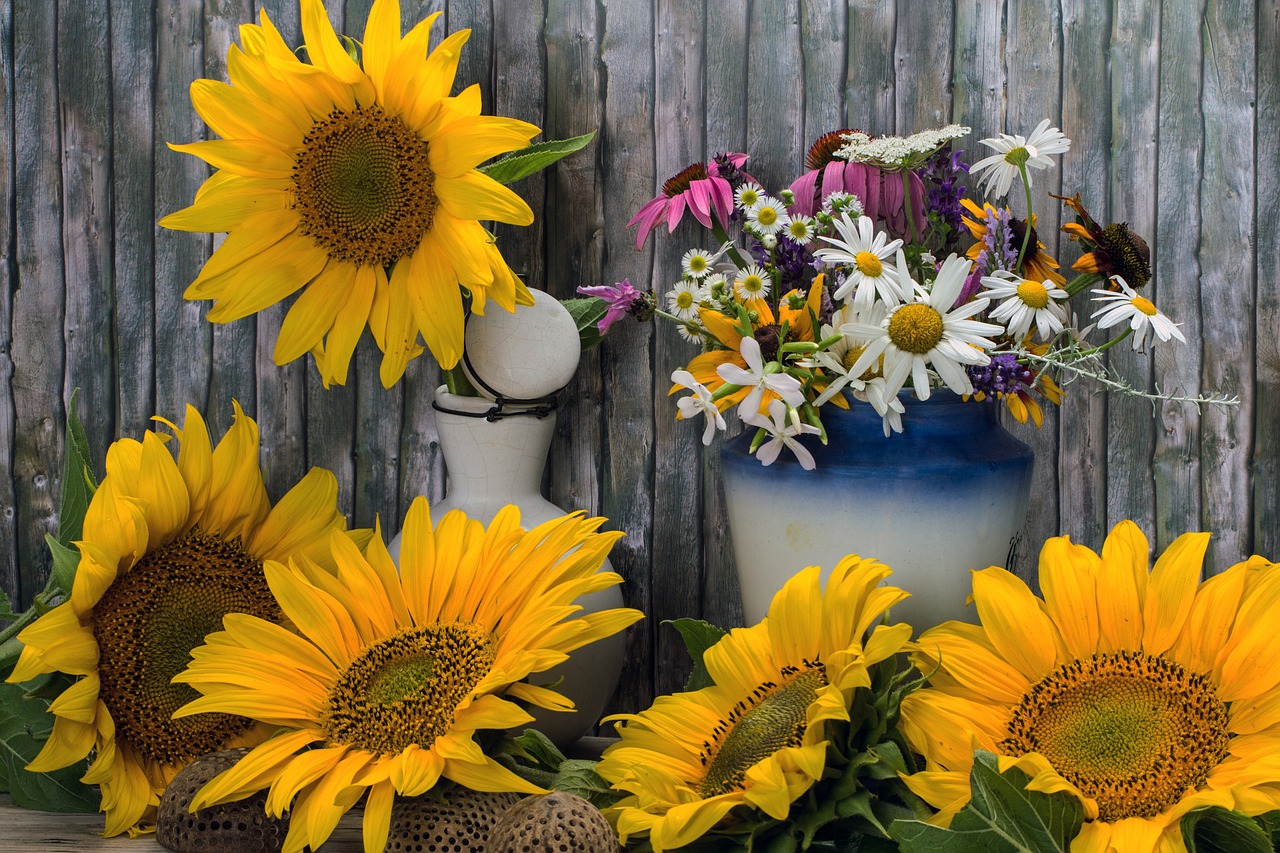 still life sunflower wild flowers free photo