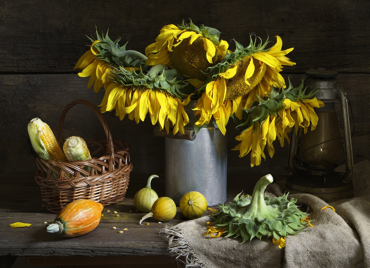 still life sunflower bouquet free photo