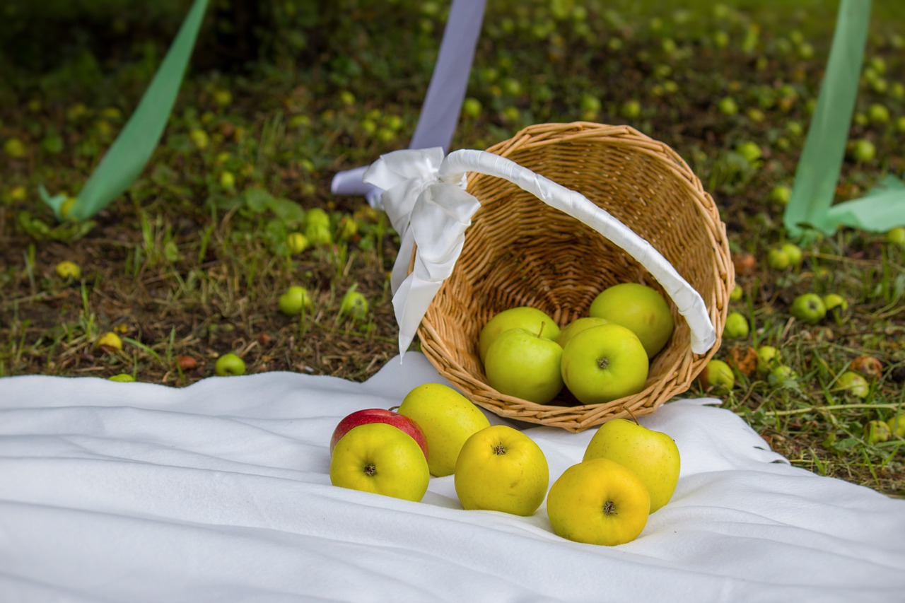 still life kazan russia free photo