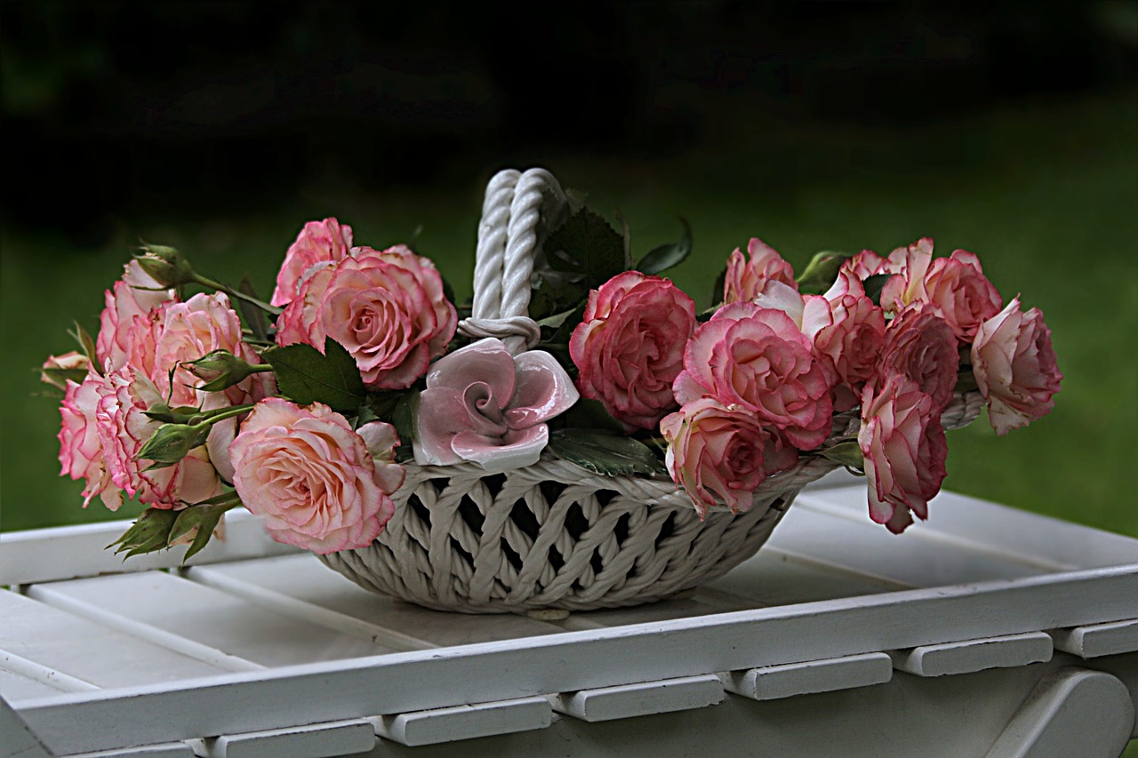 still life roses pink free photo