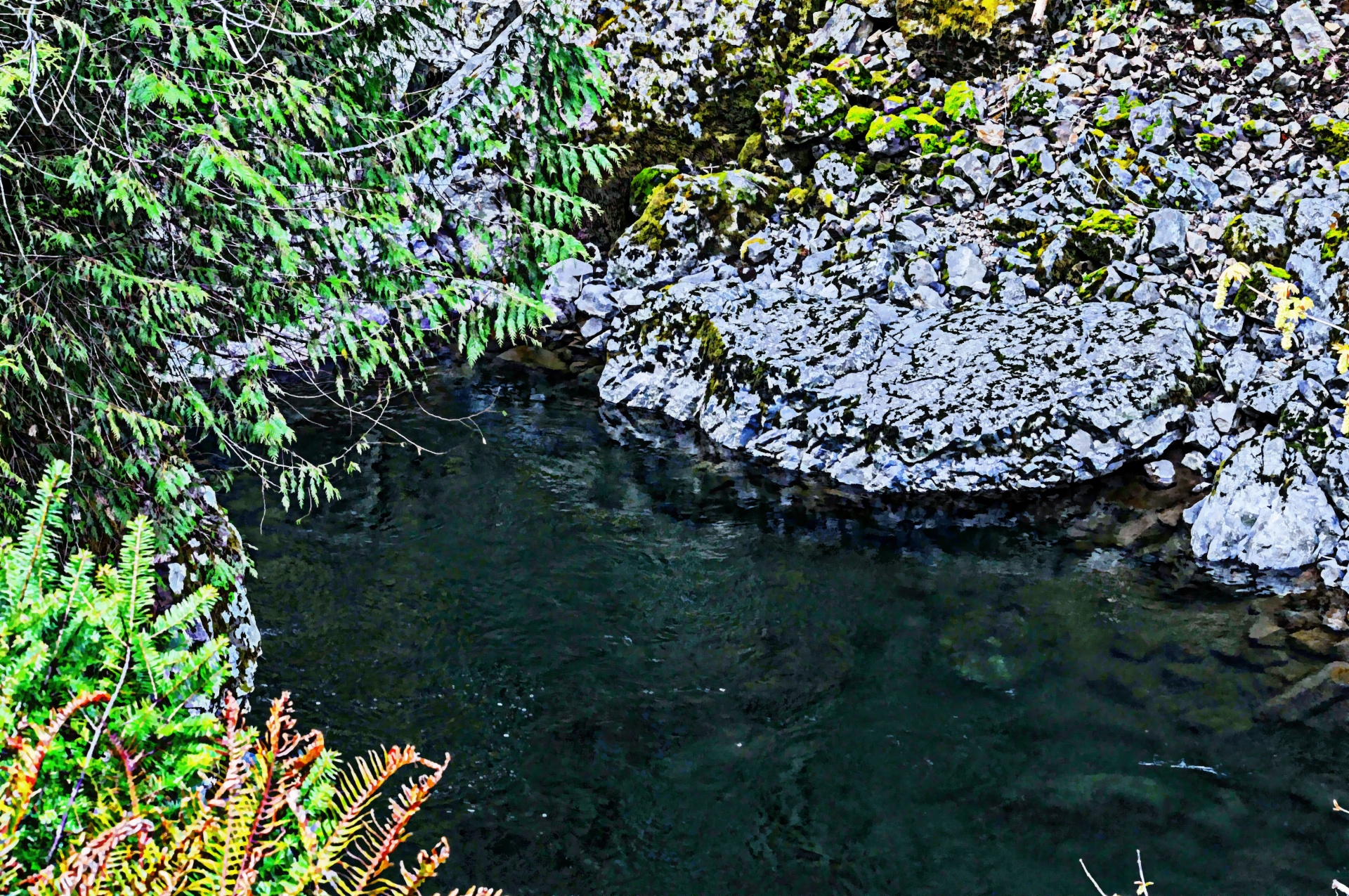 brook river stream free photo