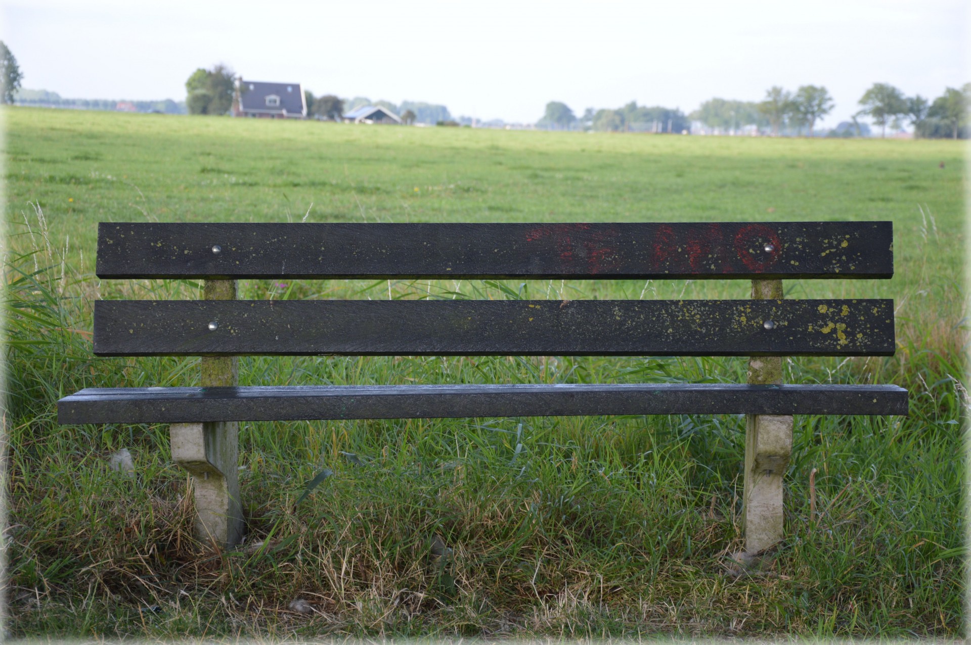 bench meadow rest free photo