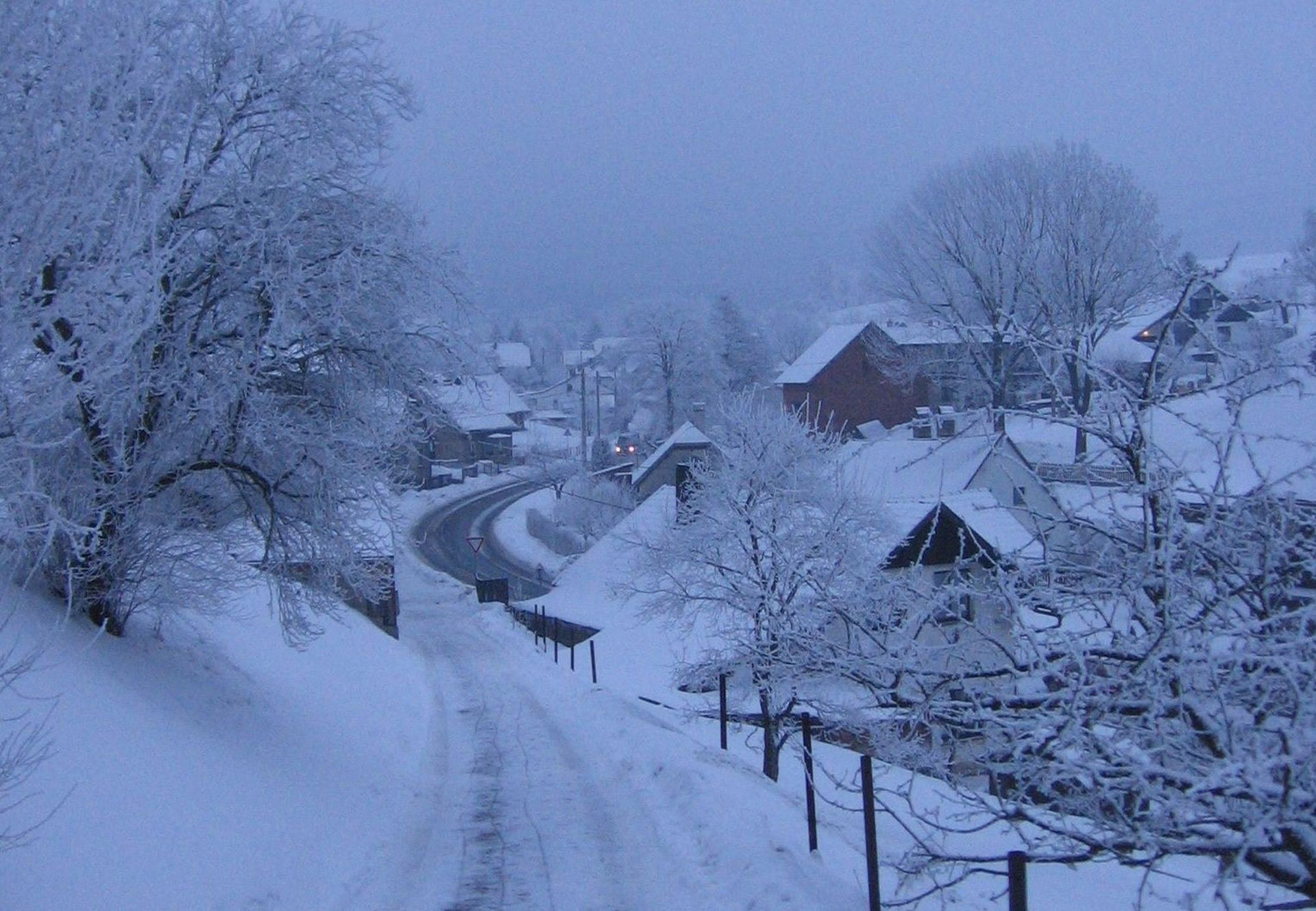 winter twilight snow nightfall free photo