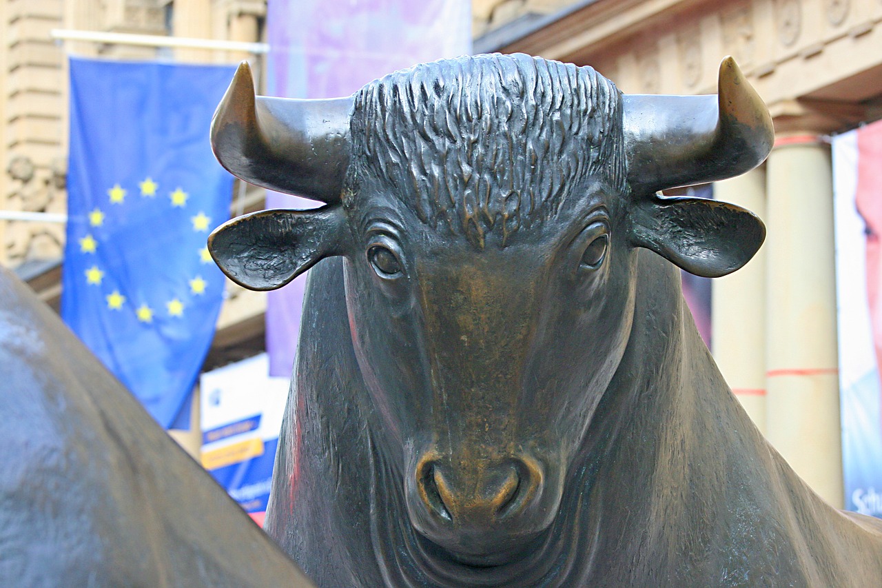 stock exchange  bull  shares free photo