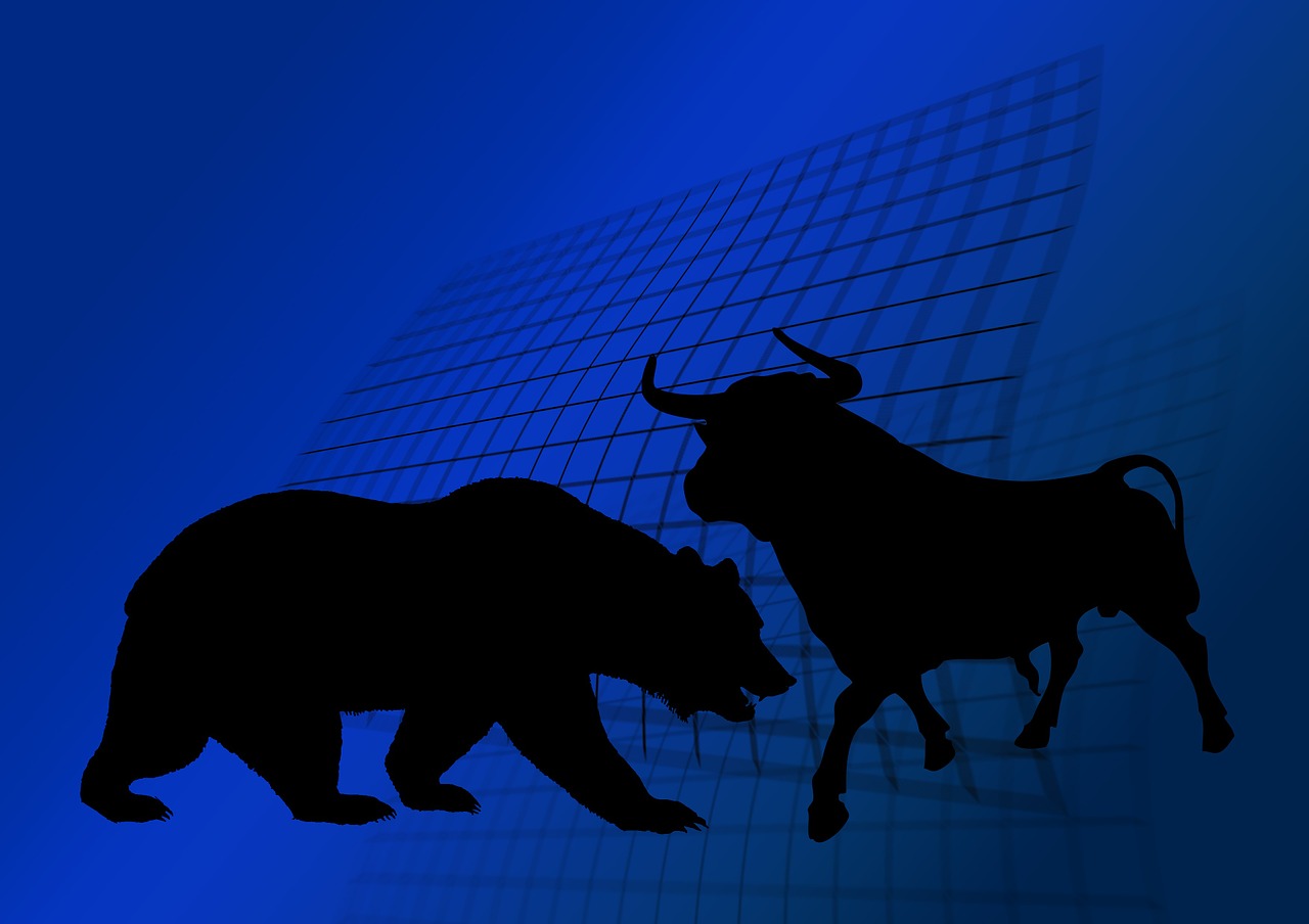 stock exchange bull bear free photo