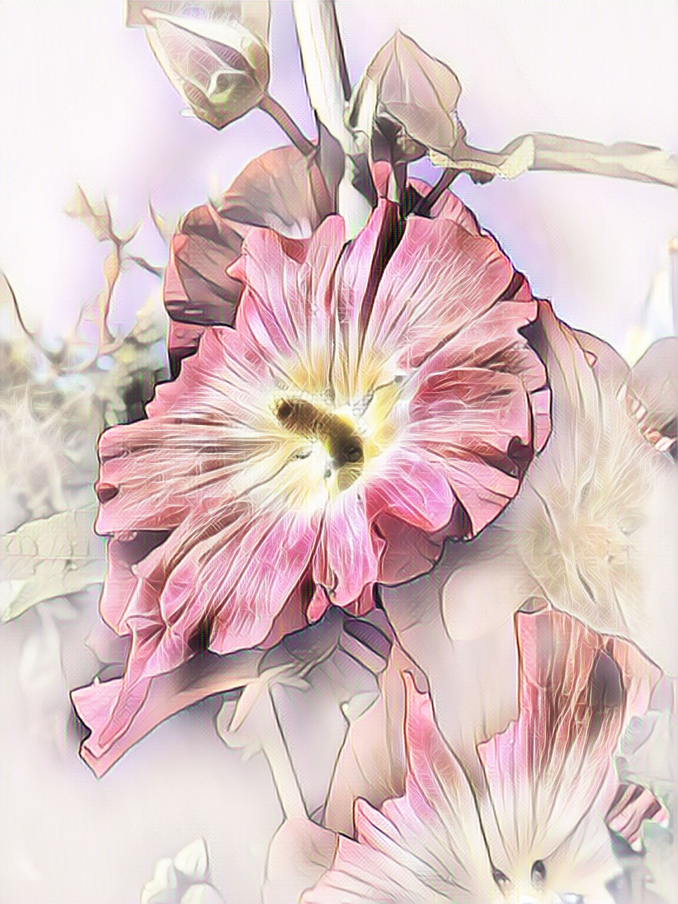 stock rose  photo art  digital painting free photo