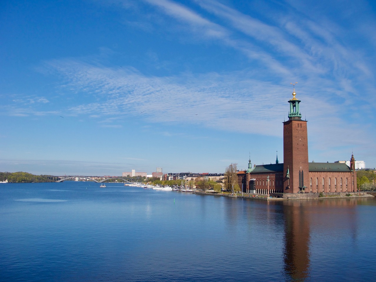 stockholm city hall horizon free photo