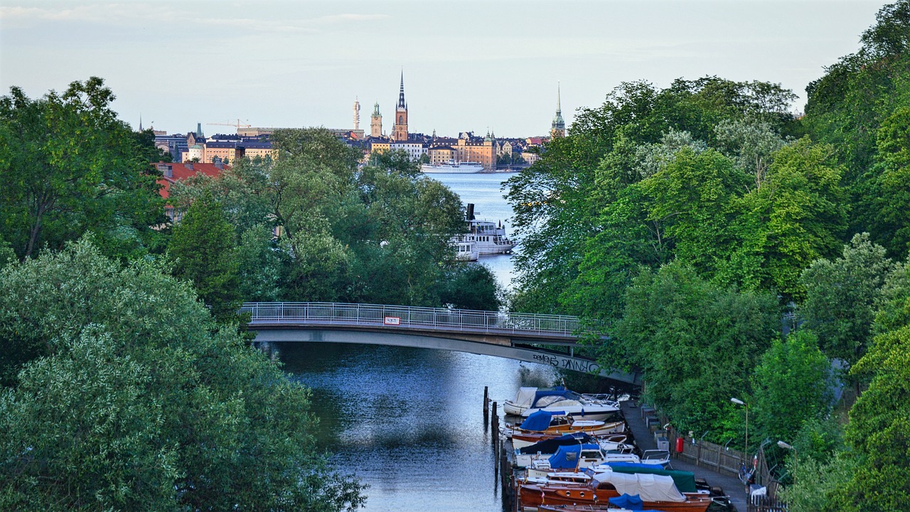 stockholm water trees free photo