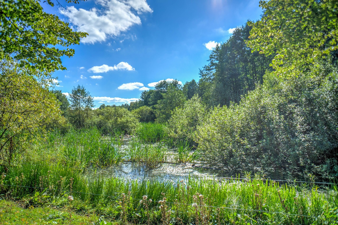 stockholm sweden nature free photo