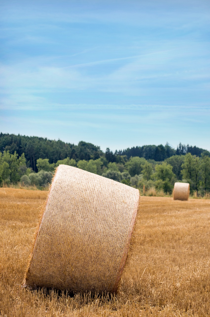 stohballen straw land free photo