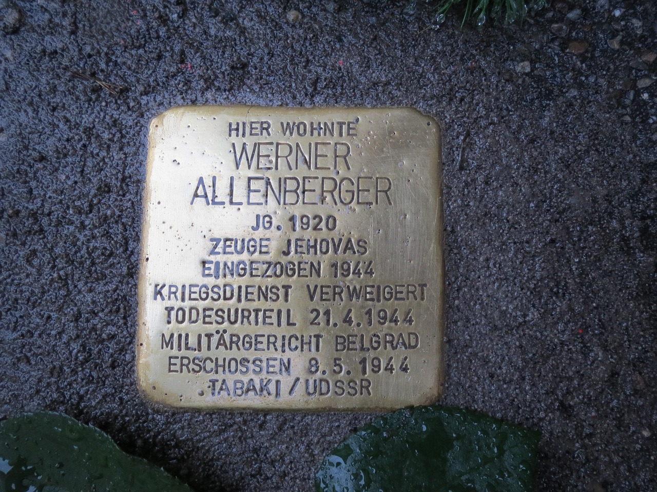 stolpersteine hockenheim memorial free photo