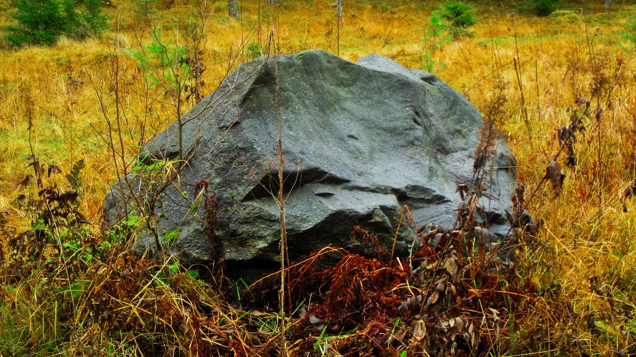 stone colors autumn free photo