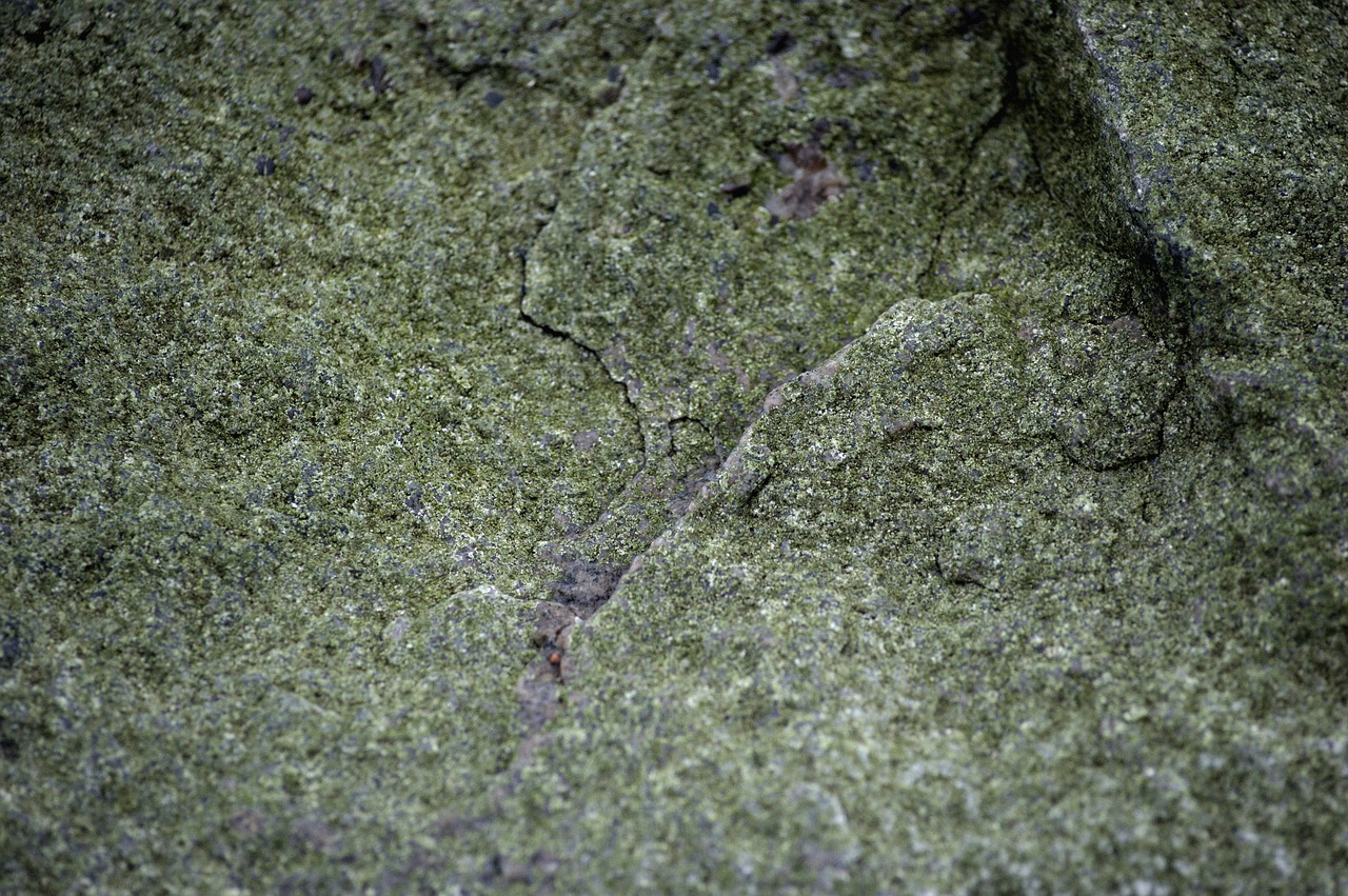 stone texture natural free photo