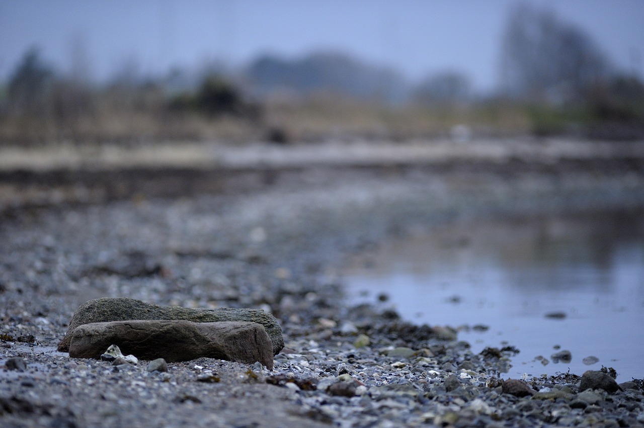 stone beach natural free photo