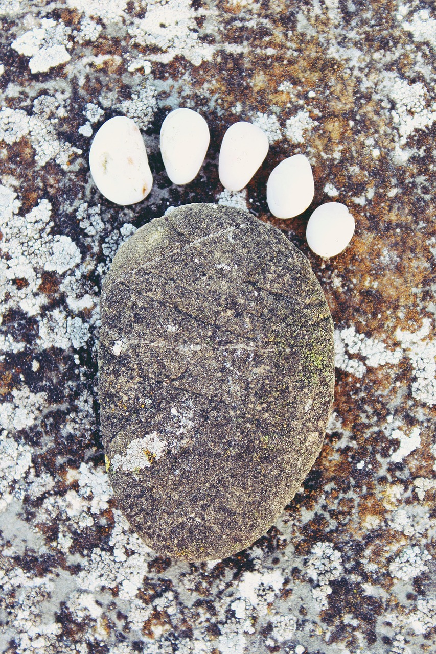 stone stonefoot foot free photo