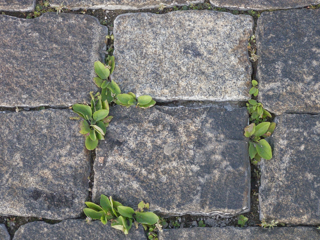 stone summer fortress free photo