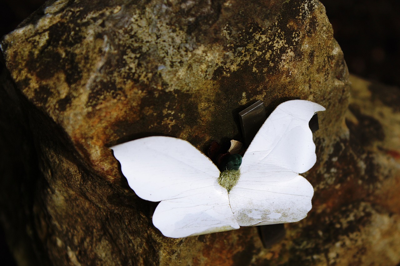 stone butterfly tombstone free photo