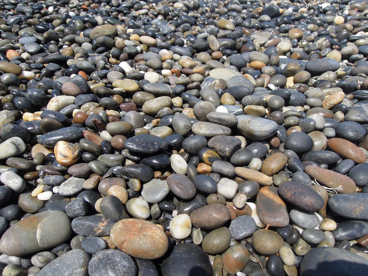 stone rocky beach free photo