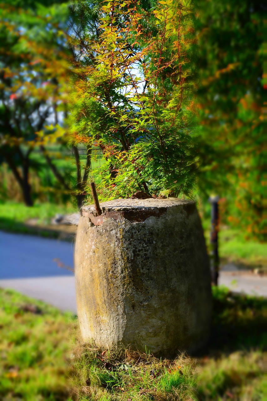 stone concrete grass free photo