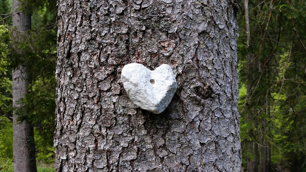 stone heart wood free photo