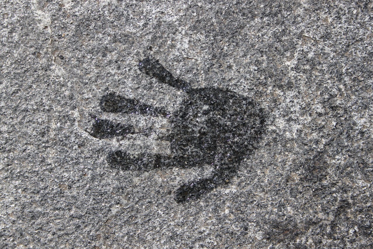 stone hand handprint free photo