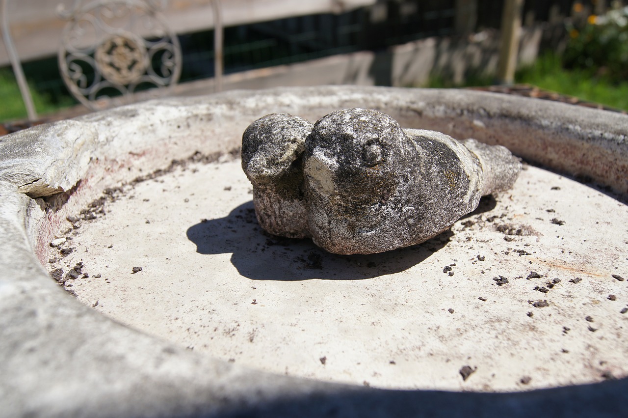 stone bird statue free photo