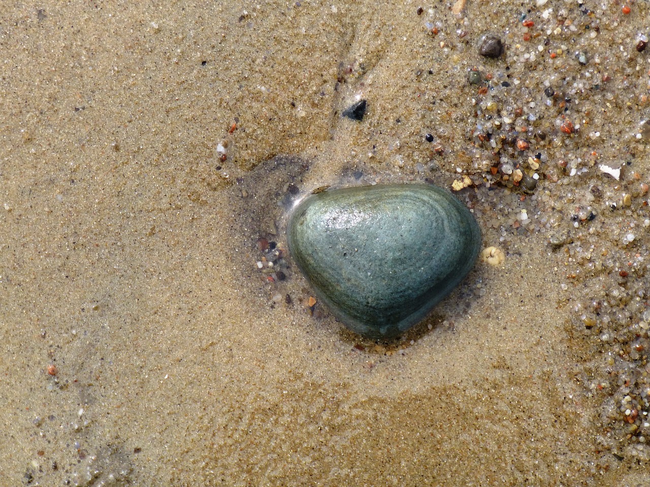 stone beach sand free photo