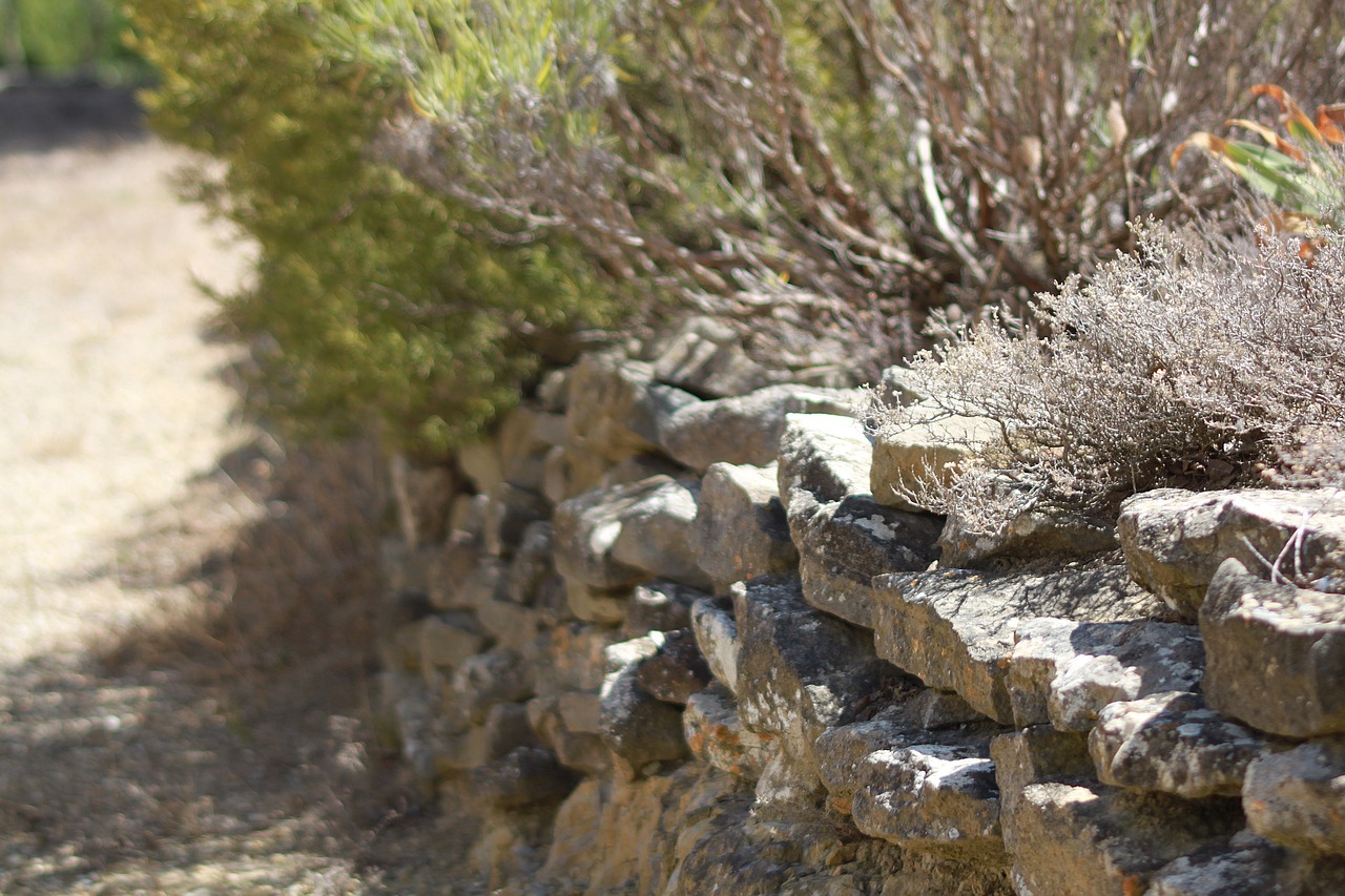 stone nature garden free photo