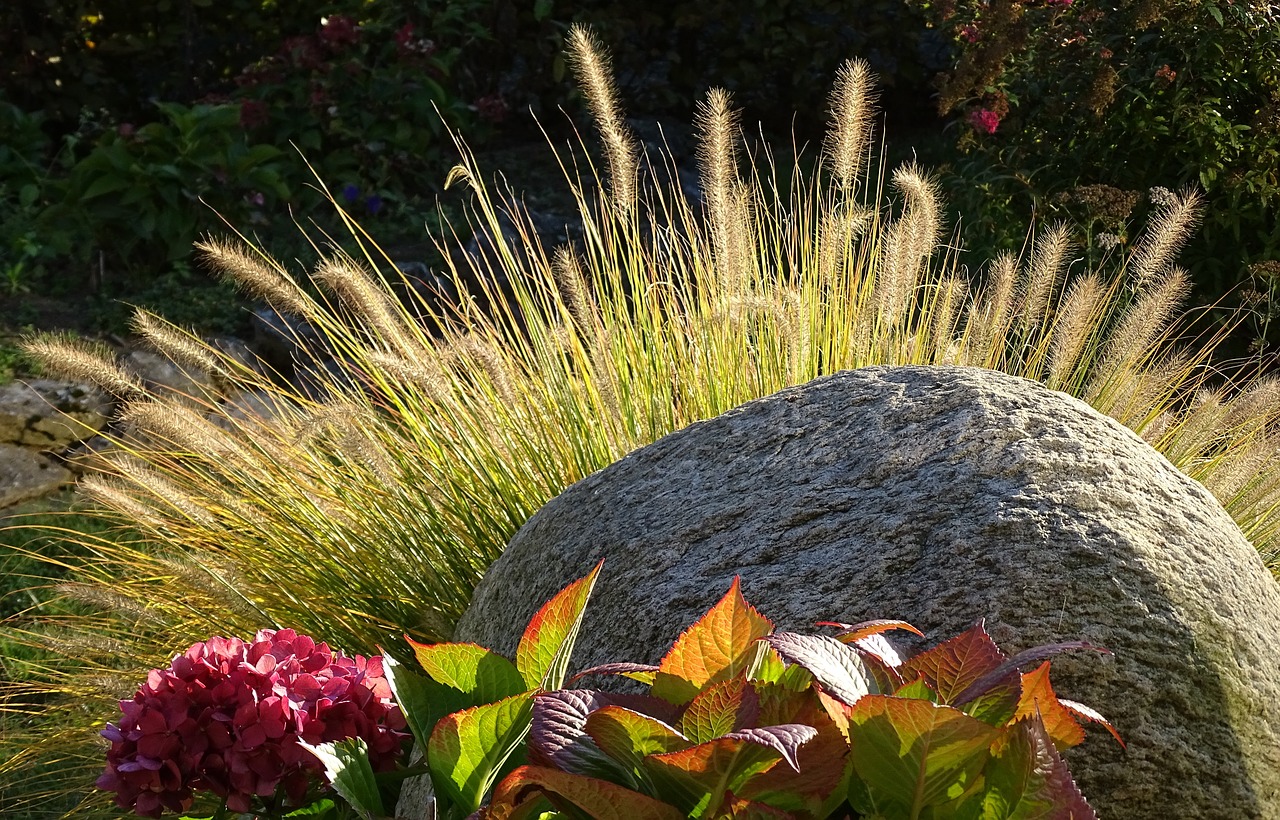 stone back light autumn free photo