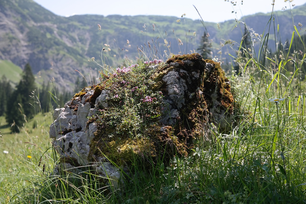 stone limestone rock free photo