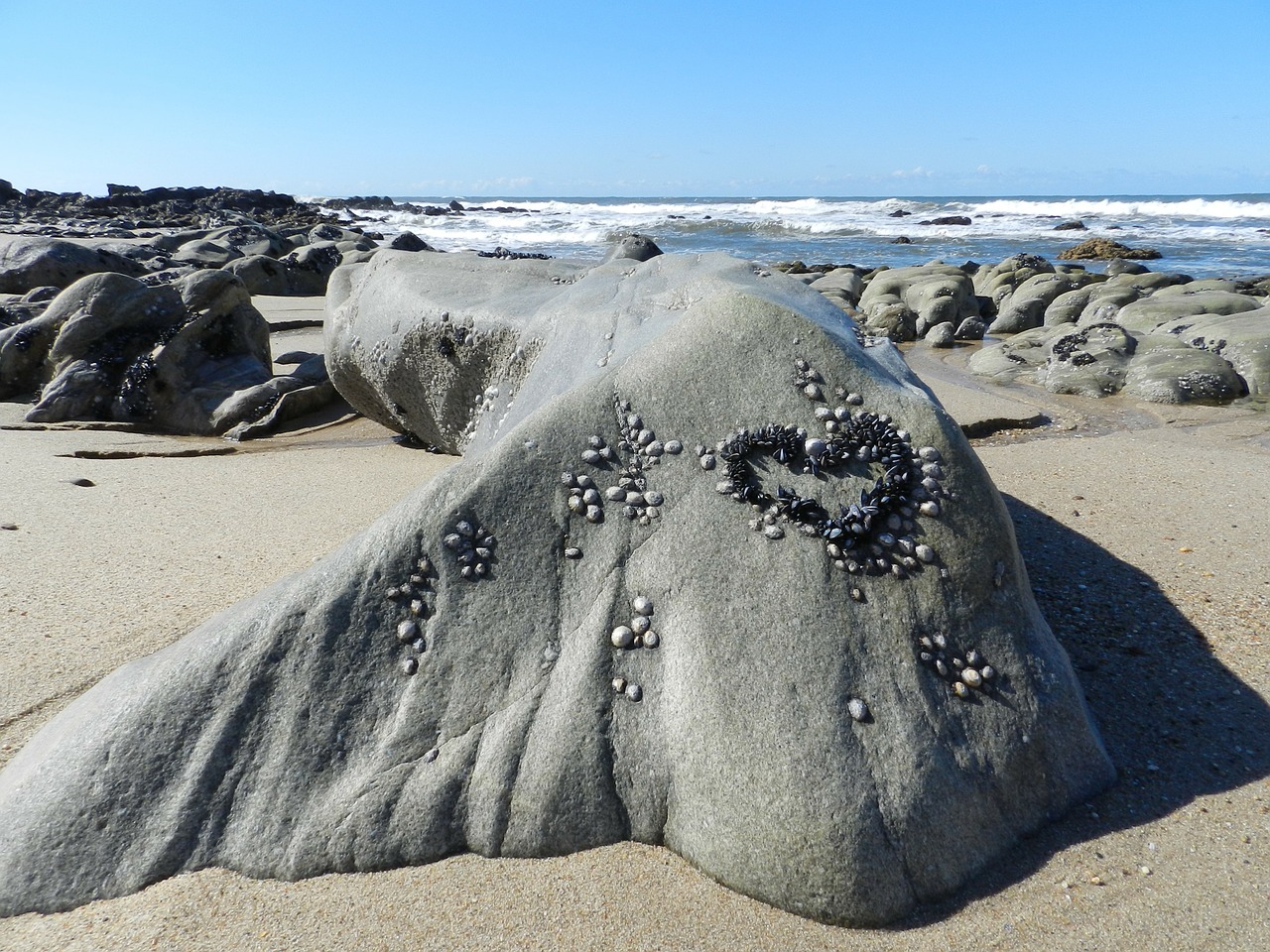 stone mar beach free photo