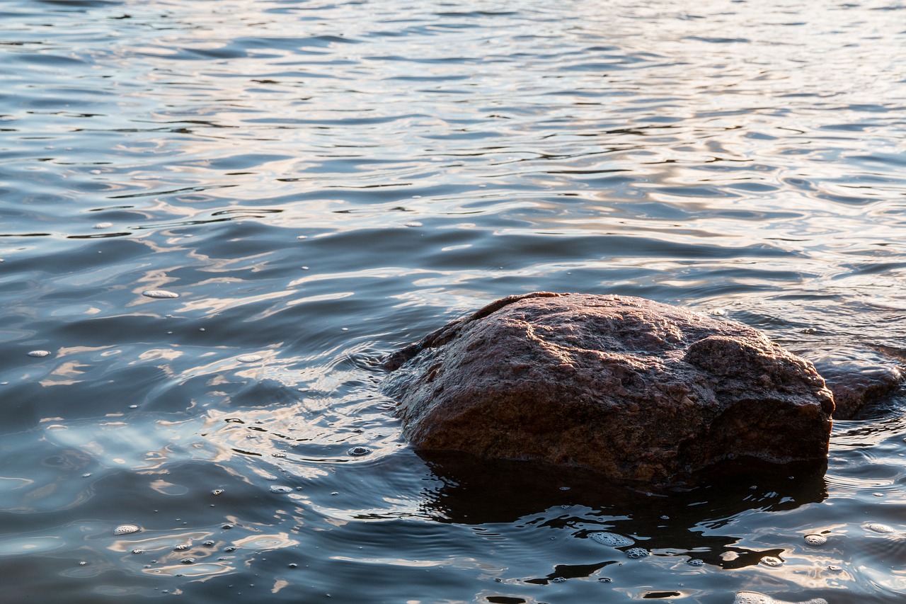 stone sea water free photo