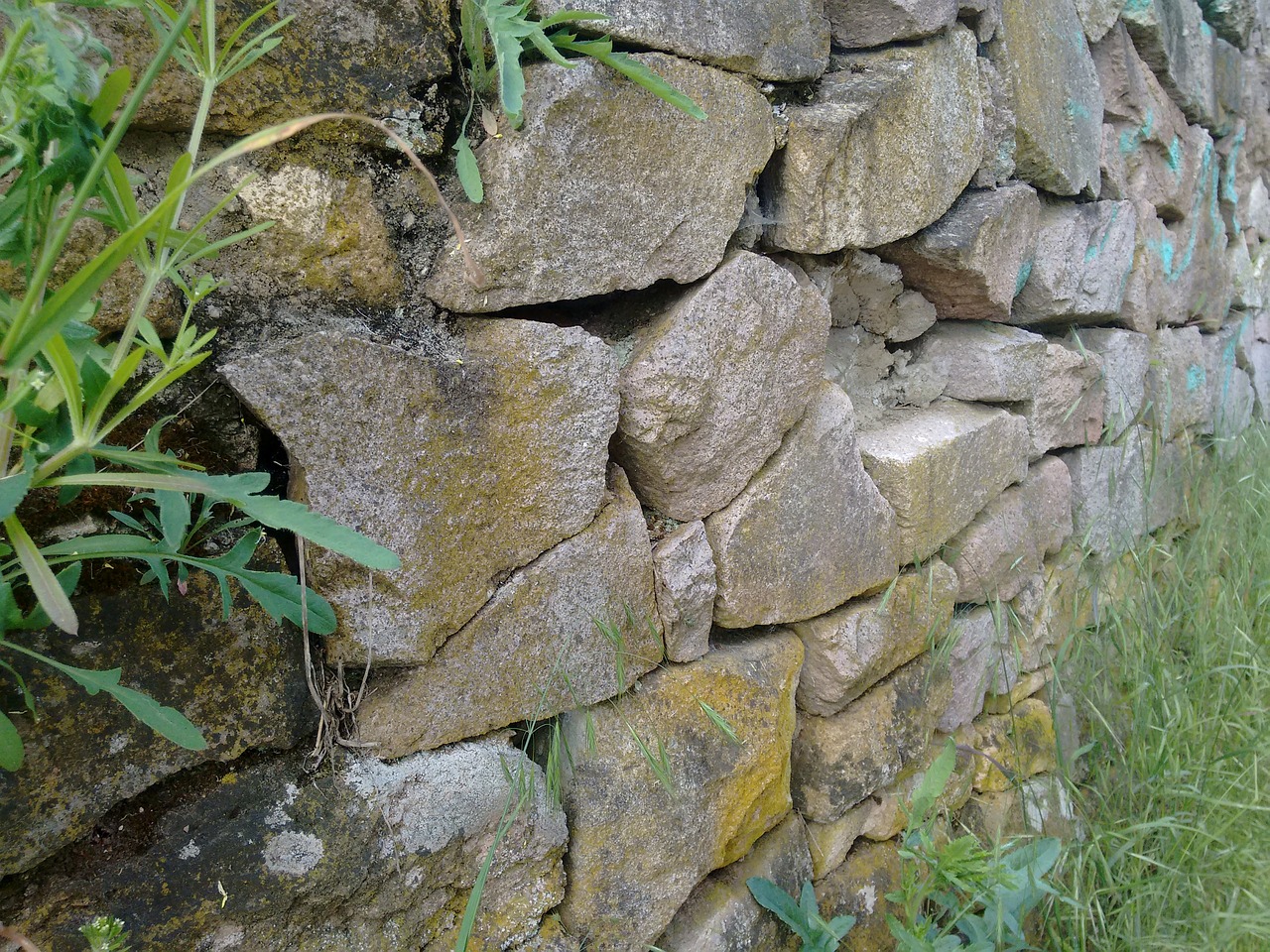 stone wall grass free photo