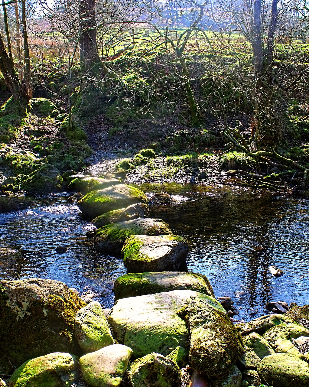 stone stepping stream free photo