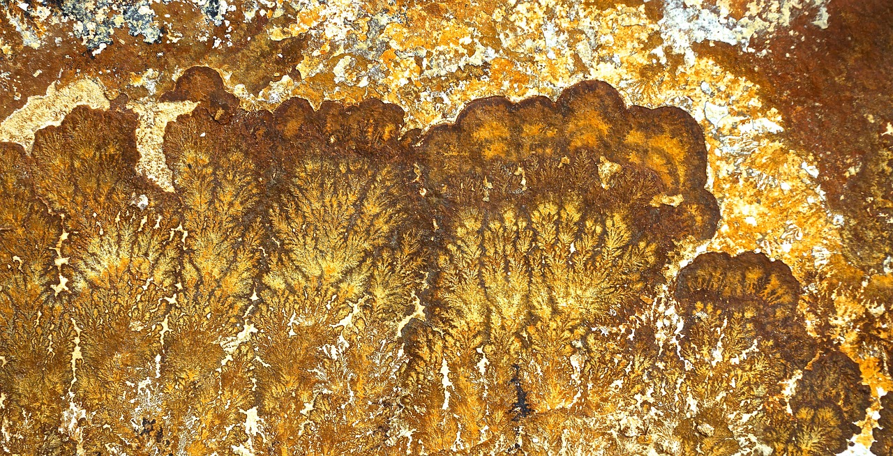 stone dendrites fossil free photo