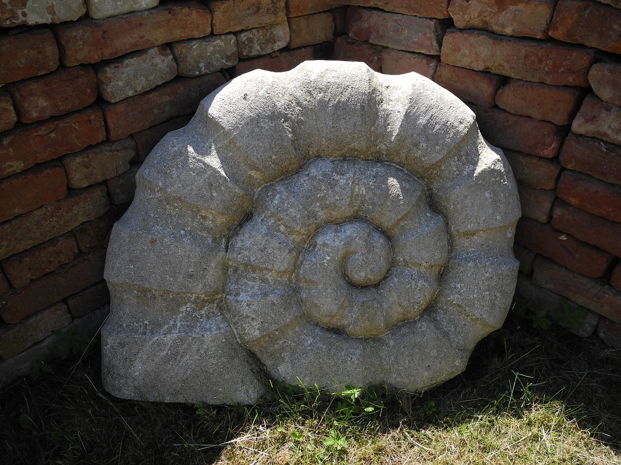 stone snail garden free photo
