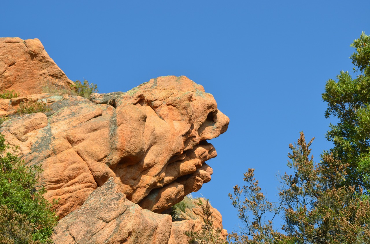 stone dog head formation free photo