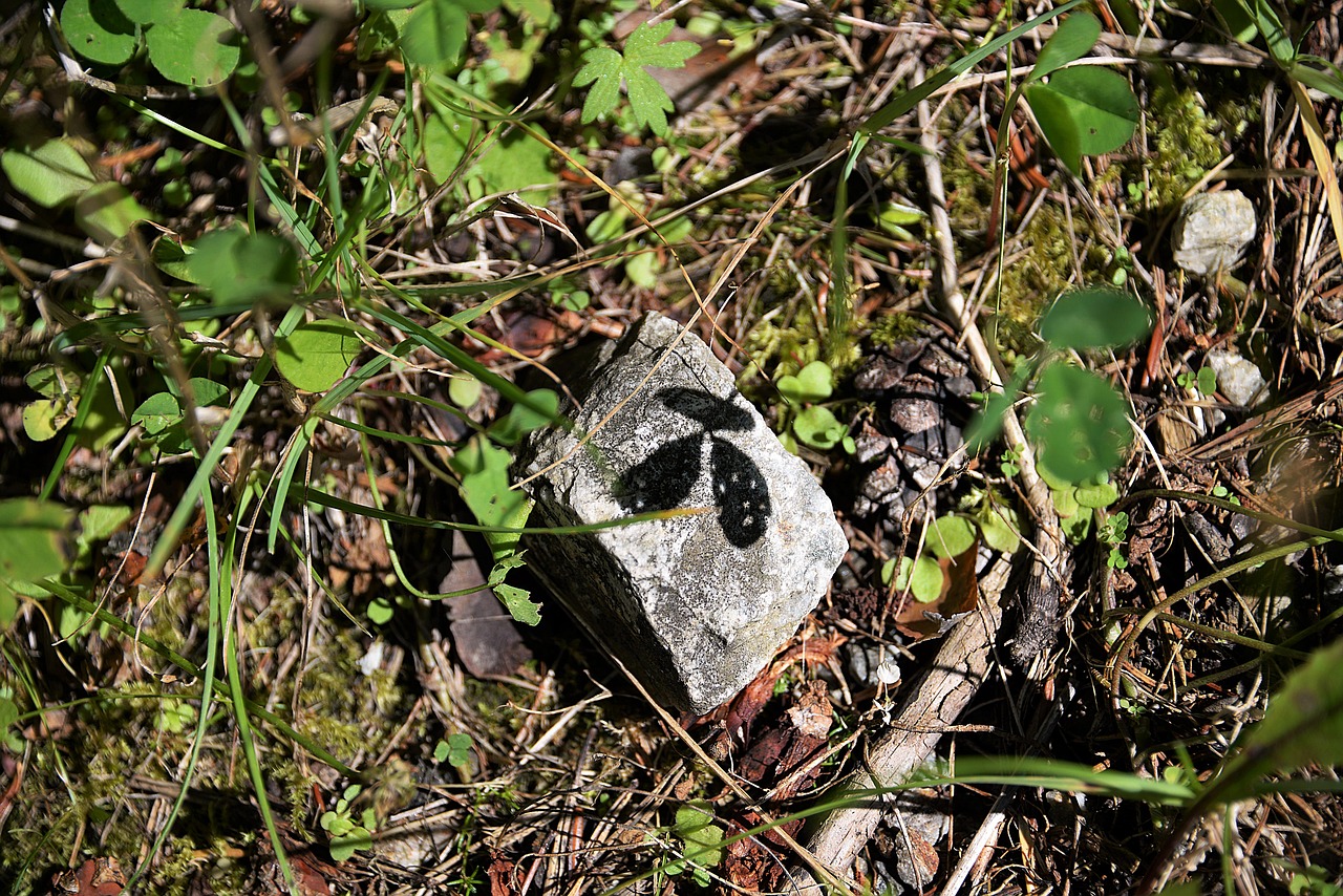 stone shadow hispanic