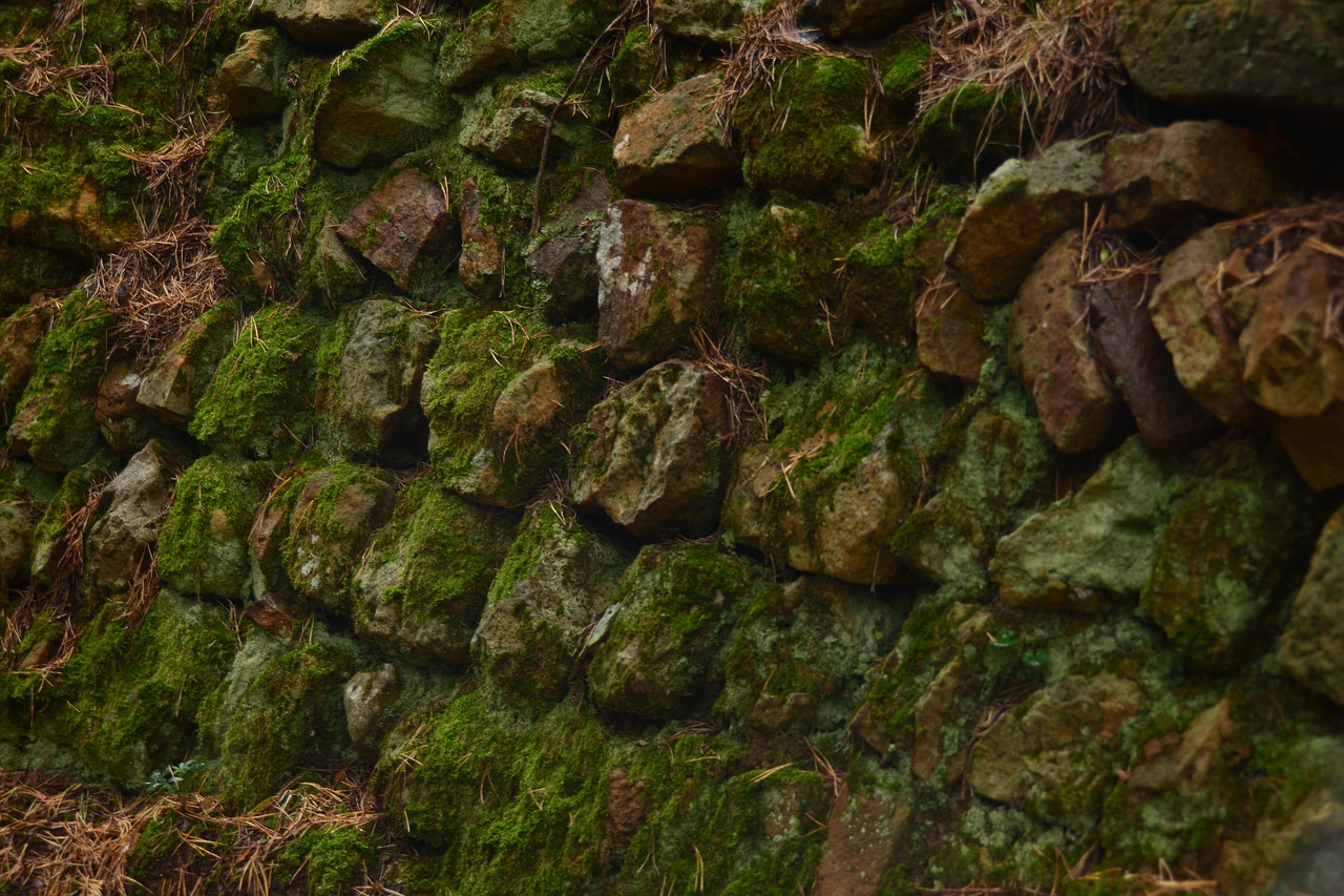 stone wall texture stones free photo