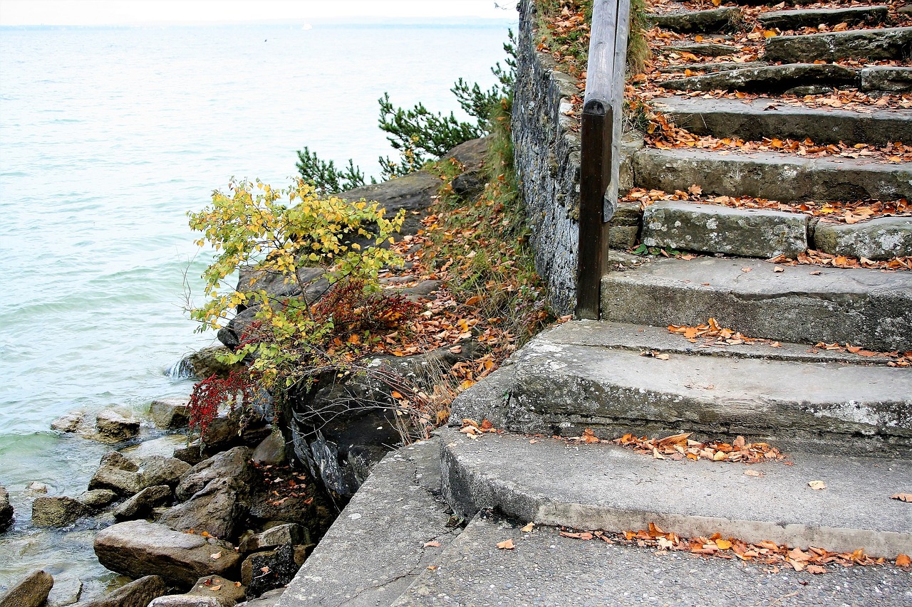 stone stairs morning free photo