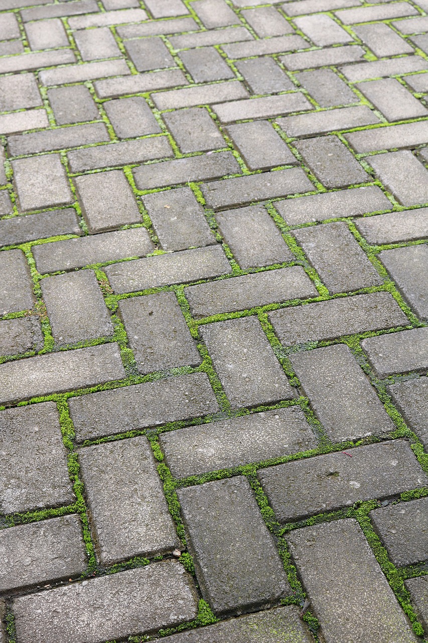 stone pavement pattern free photo